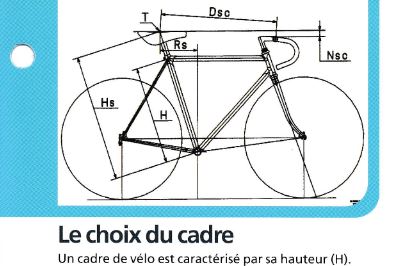 La-position-du-cycliste