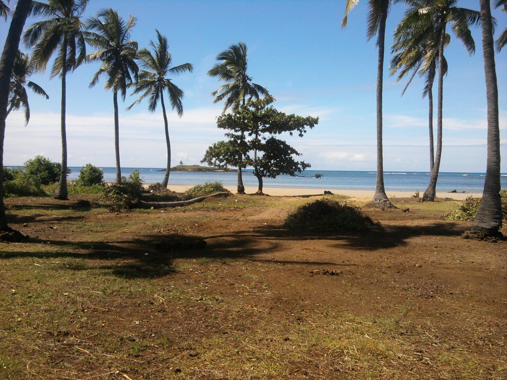 Netoyyage de la plage