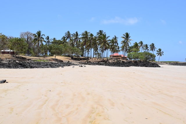 Dsc 0256