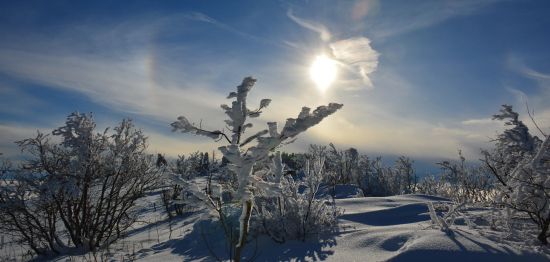 Montagnes suisses en hiver / www.montagnes-suisses.ch