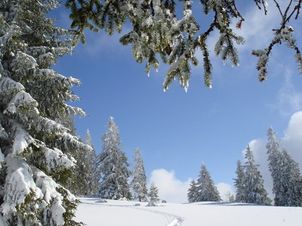 Paysage d'hiver dans les montagnes suisses / Photos de Suisse  