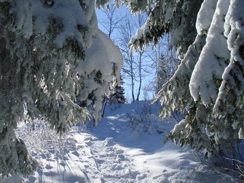 Randonnée en hiver / Montagnes suisses