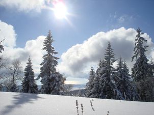 Paysage de Suisse en hiver / Photos montagnes suisses  