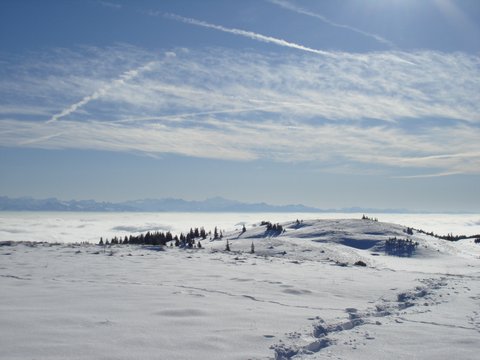 Montagnes suisses en hiver / www.montagnes-suisses.ch