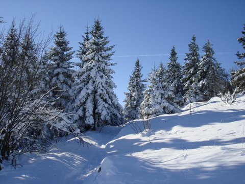 Montagnes suisses en hiver / www.montagnes-suisses.ch