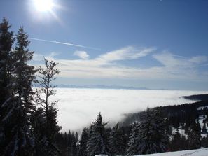 Montagnes suisses en hiver / www.montagnes-suisses.ch