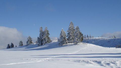 Montagnes suisses en hiver / www.montagnes-suisses.ch