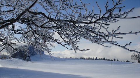 Montagnes suisses en hiver / www.montagnes-suisses.ch