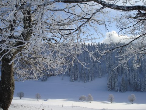 Montagnes suisses en hiver / www.montagnes-suisses.ch