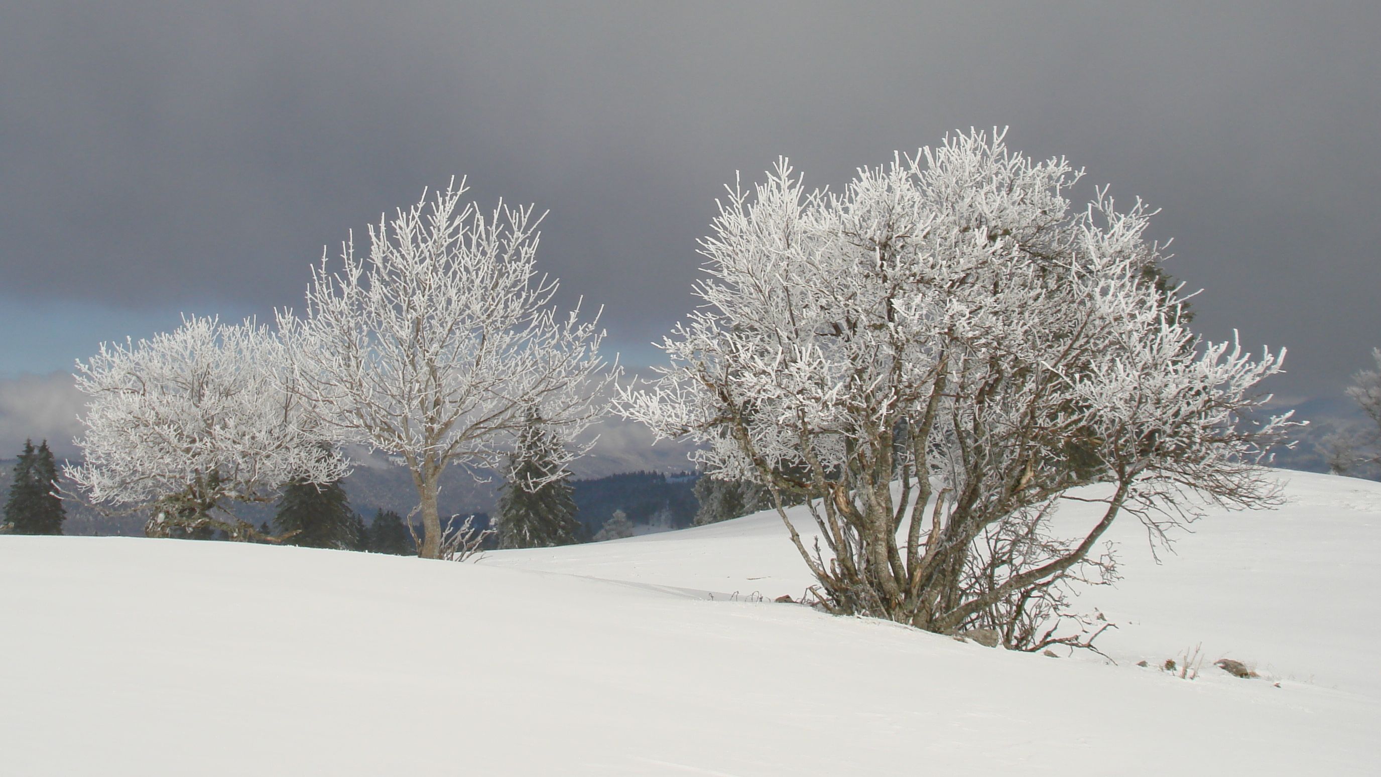 Montagnes suisses en hiver / www.montagnes-suisses.ch