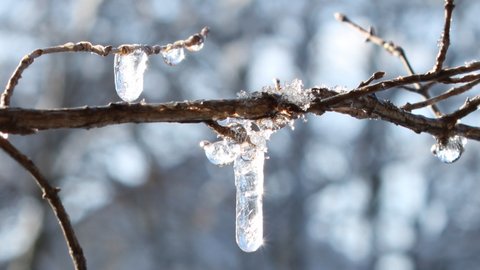 Montagnes suisses en hiver / www.montagnes-suisses.ch