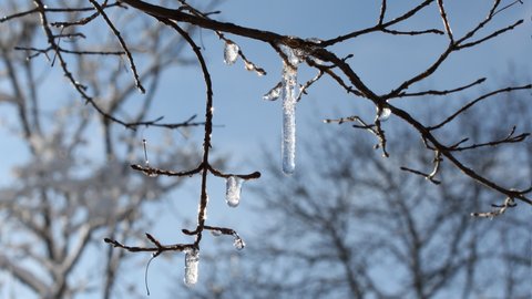 Montagnes suisses en hiver / www.montagnes-suisses.ch