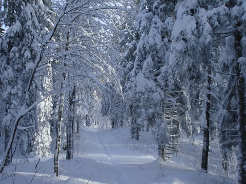 Montagnes suisses en hiver / www.montagnes-suisses.ch
