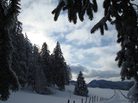 Montagnes suisses en hiver / www.montagnes-suisses.ch