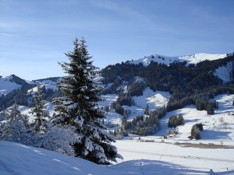 Montagnes suisses en hiver / www.montagnes-suisses.ch
