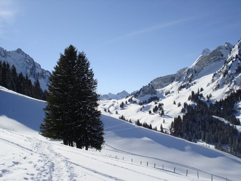 Montagnes suisses en hiver / www.montagnes-suisses.ch