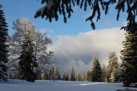 Montagnes suisses en hiver / www.montagnes-suisses.ch