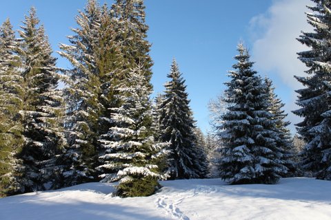 Montagnes suisses en hiver / www.montagnes-suisses.ch
