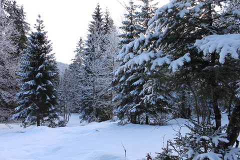 Montagnes suisses en hiver / www.montagnes-suisses.ch