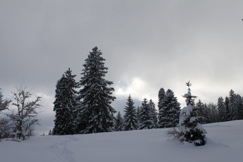 Montagnes suisses en hiver / www.montagnes-suisses.ch