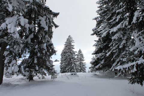 Montagnes suisses en hiver / www.montagnes-suisses.ch