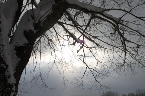 Montagnes suisses en hiver / www.montagnes-suisses.ch