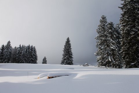 Montagnes suisses en hiver / www.montagnes-suisses.ch