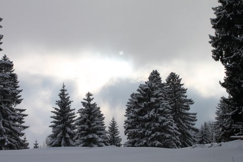 Montagnes suisses en hiver / www.montagnes-suisses.ch