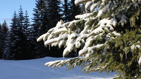 Montagnes suisses en hiver / www.montagnes-suisses.ch