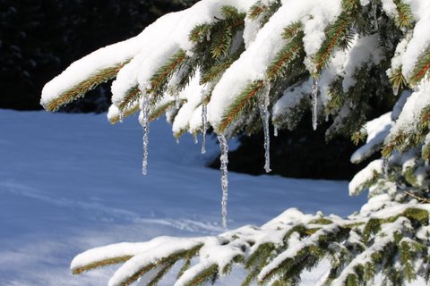 Montagnes suisses en hiver / www.montagnes-suisses.ch