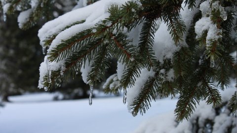 Montagnes suisses en hiver / www.montagnes-suisses.ch