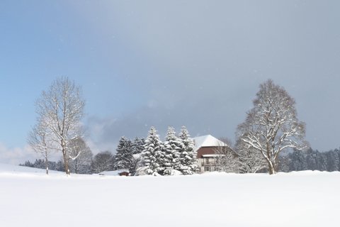 Montagnes suisses en hiver / www.montagnes-suisses.ch