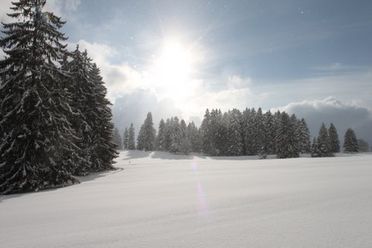 Montagnes suisses en hiver / www.montagnes-suisses.ch