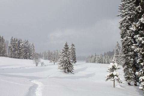 Montagnes suisses en hiver / www.montagnes-suisses.ch
