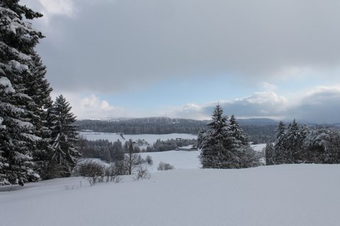 Montagnes suisses en hiver / www.montagnes-suisses.ch