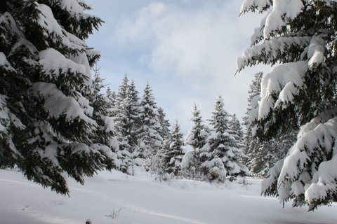 Montagnes suisses en hiver / www.montagnes-suisses.ch
