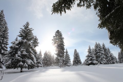Montagnes suisses en hiver / www.montagnes-suisses.ch