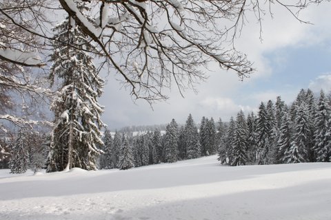 Montagnes suisses en hiver / www.montagnes-suisses.ch