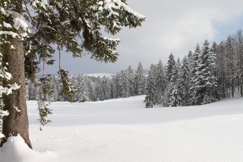 Montagnes suisses en hiver / www.montagnes-suisses.ch