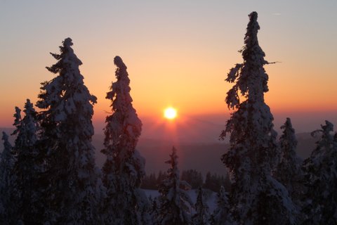Montagnes suisses en hiver / www.montagnes-suisses.ch