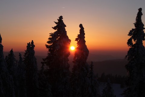 Montagnes suisses en hiver / www.montagnes-suisses.ch