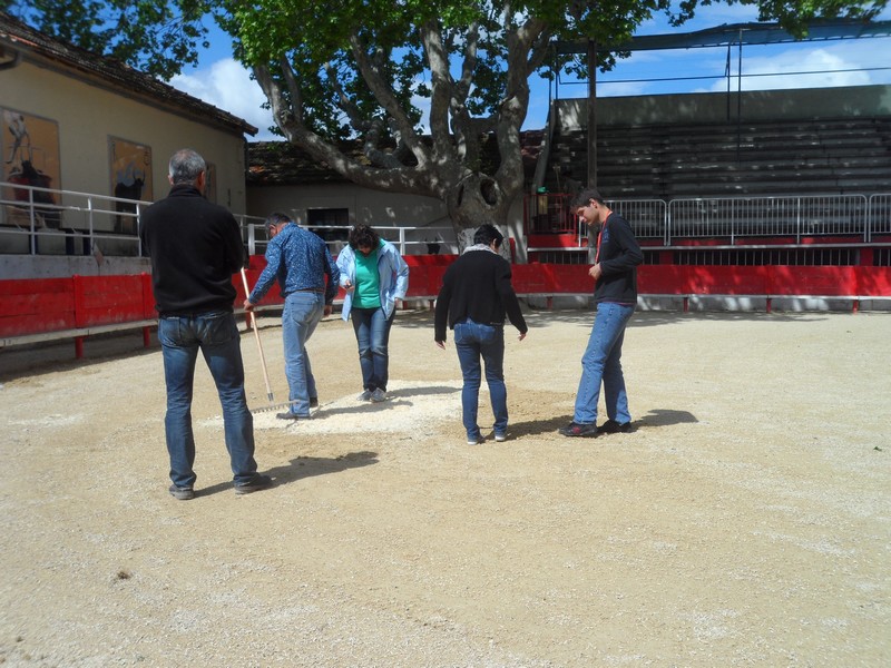 La danse de la sciure 15 