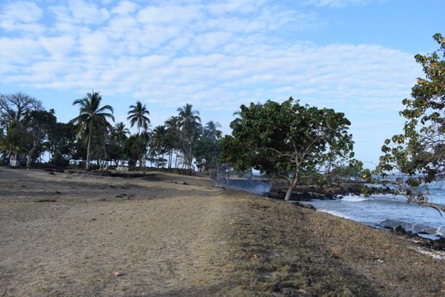 Dsc 0042