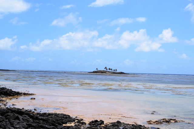 Dsc 0130