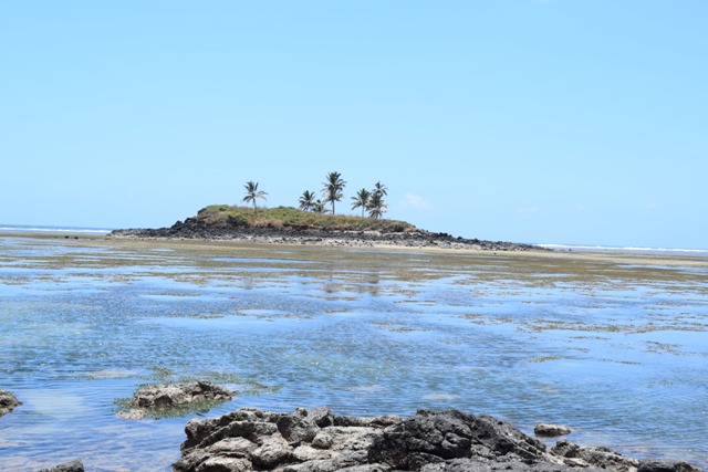 La marée basse