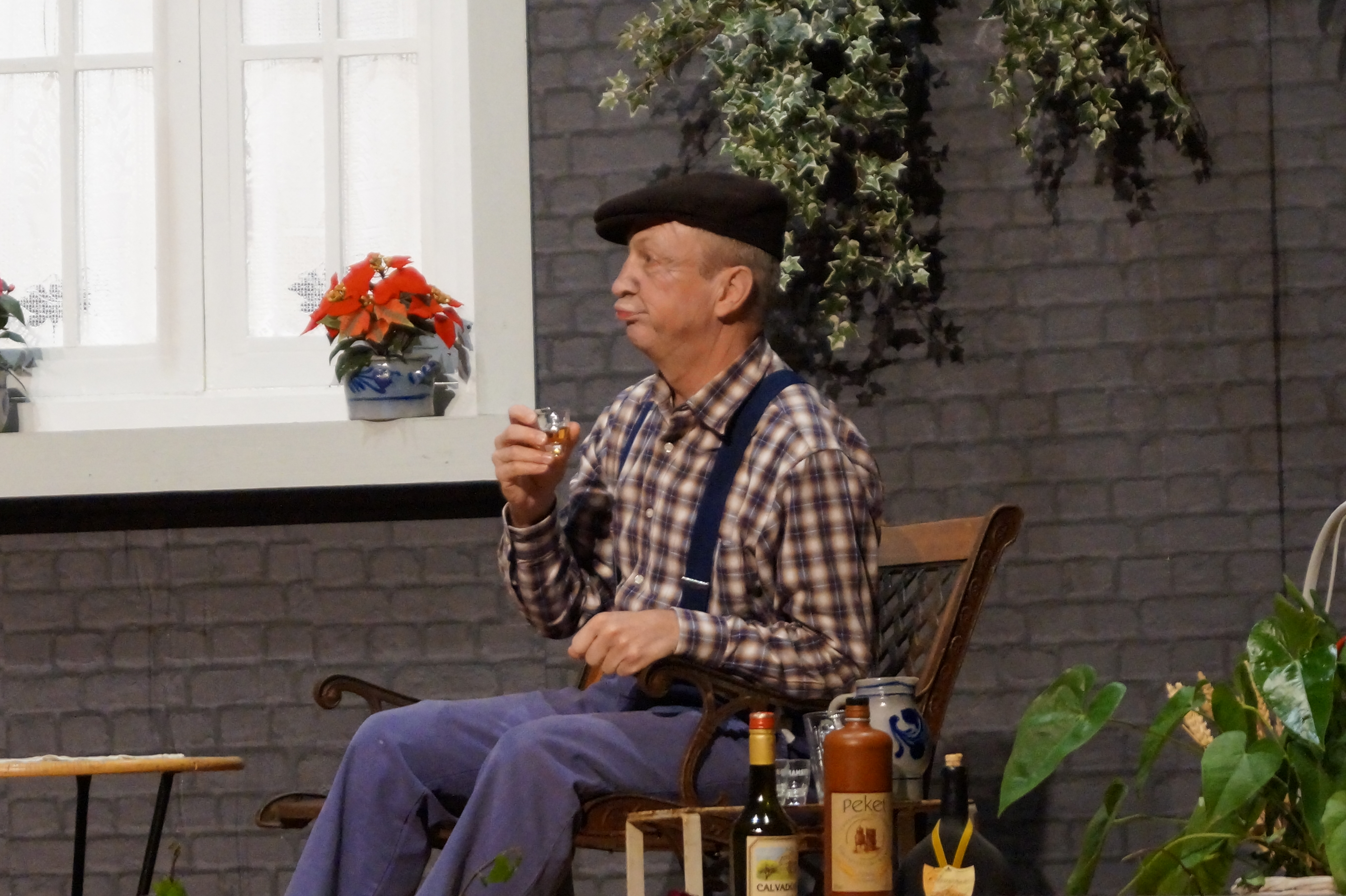 Theatre remicourt la qu i vikes vi 044