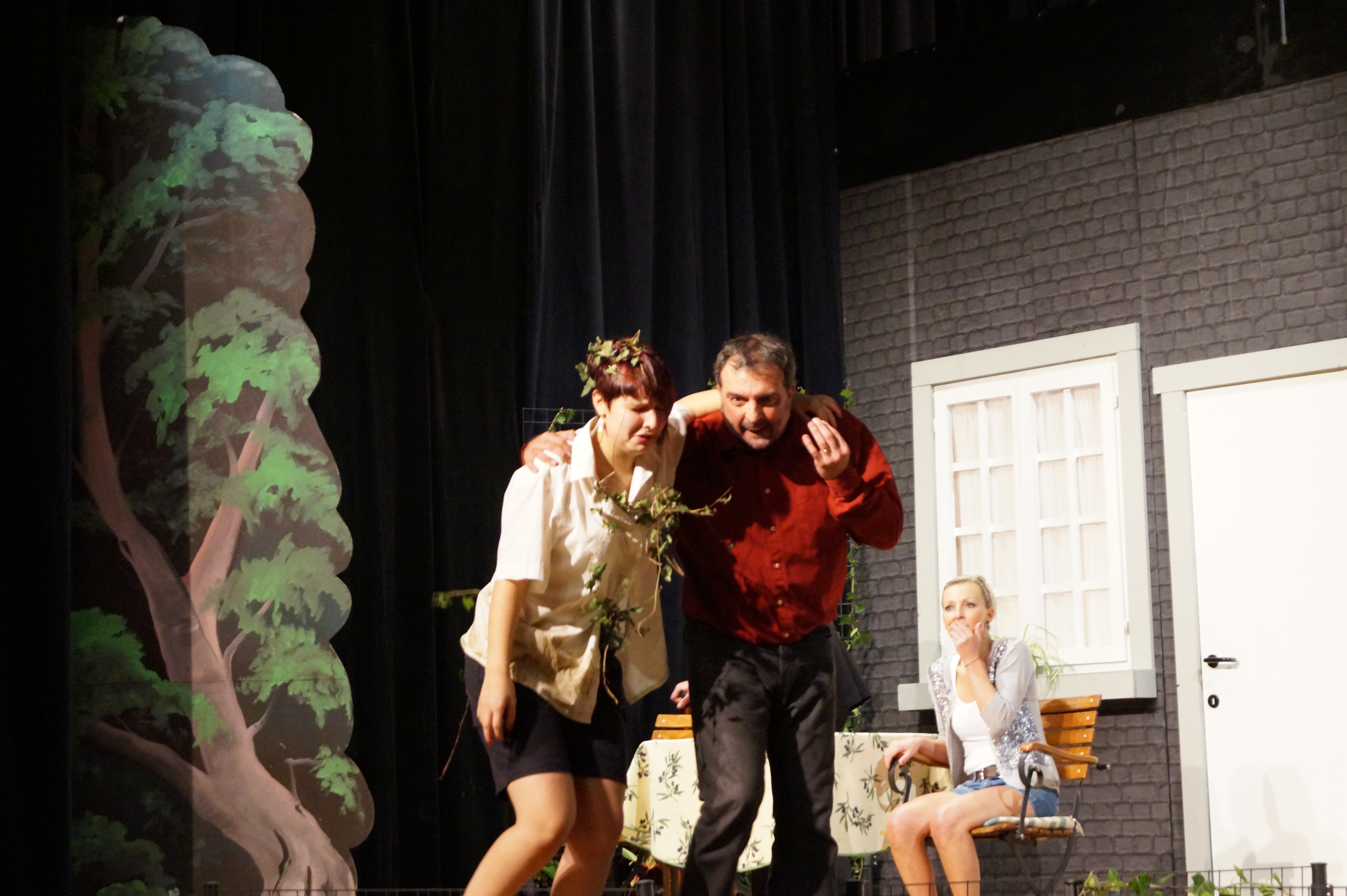 Theatre remicourt la qu i vikes vi 264