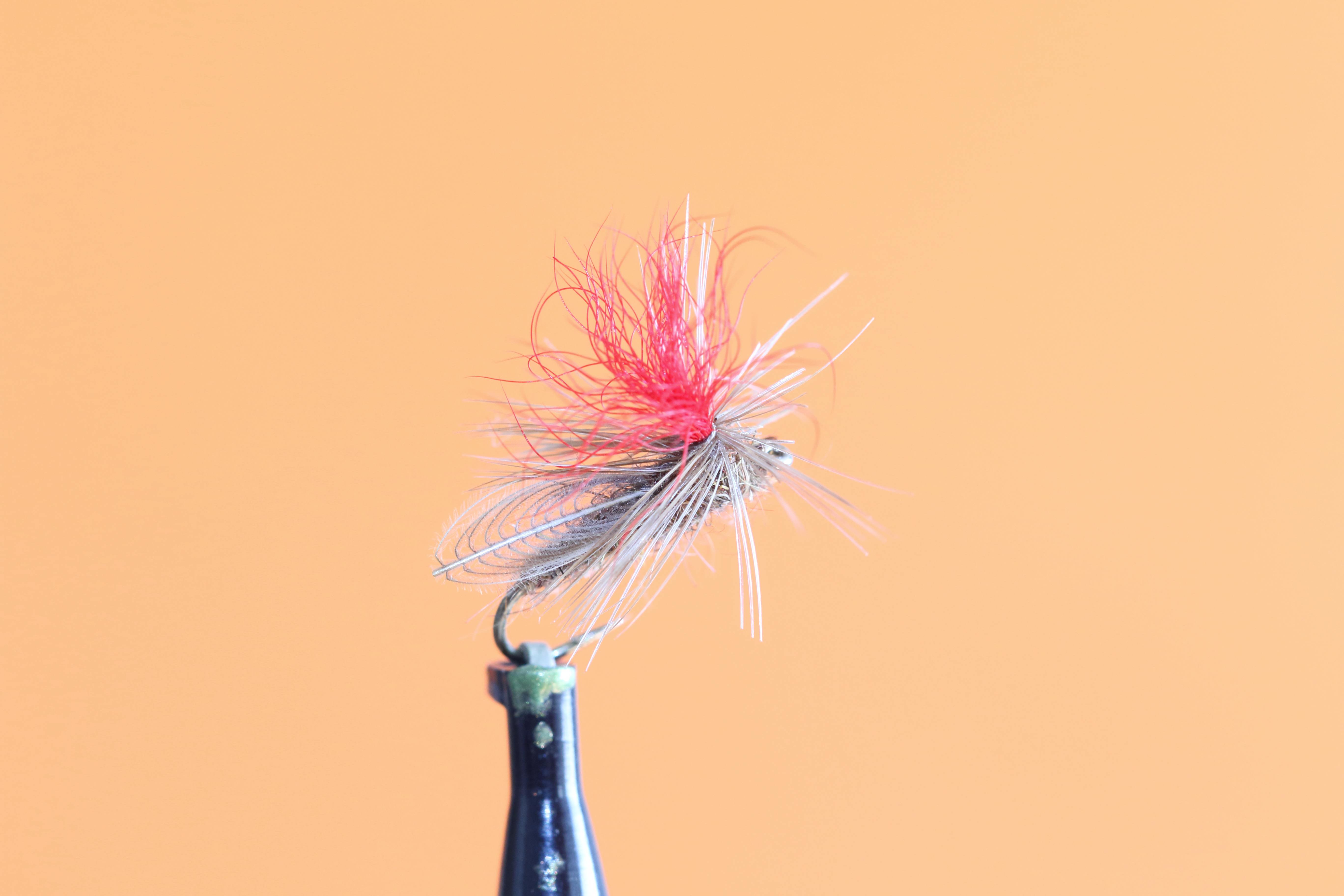 Mouches 11