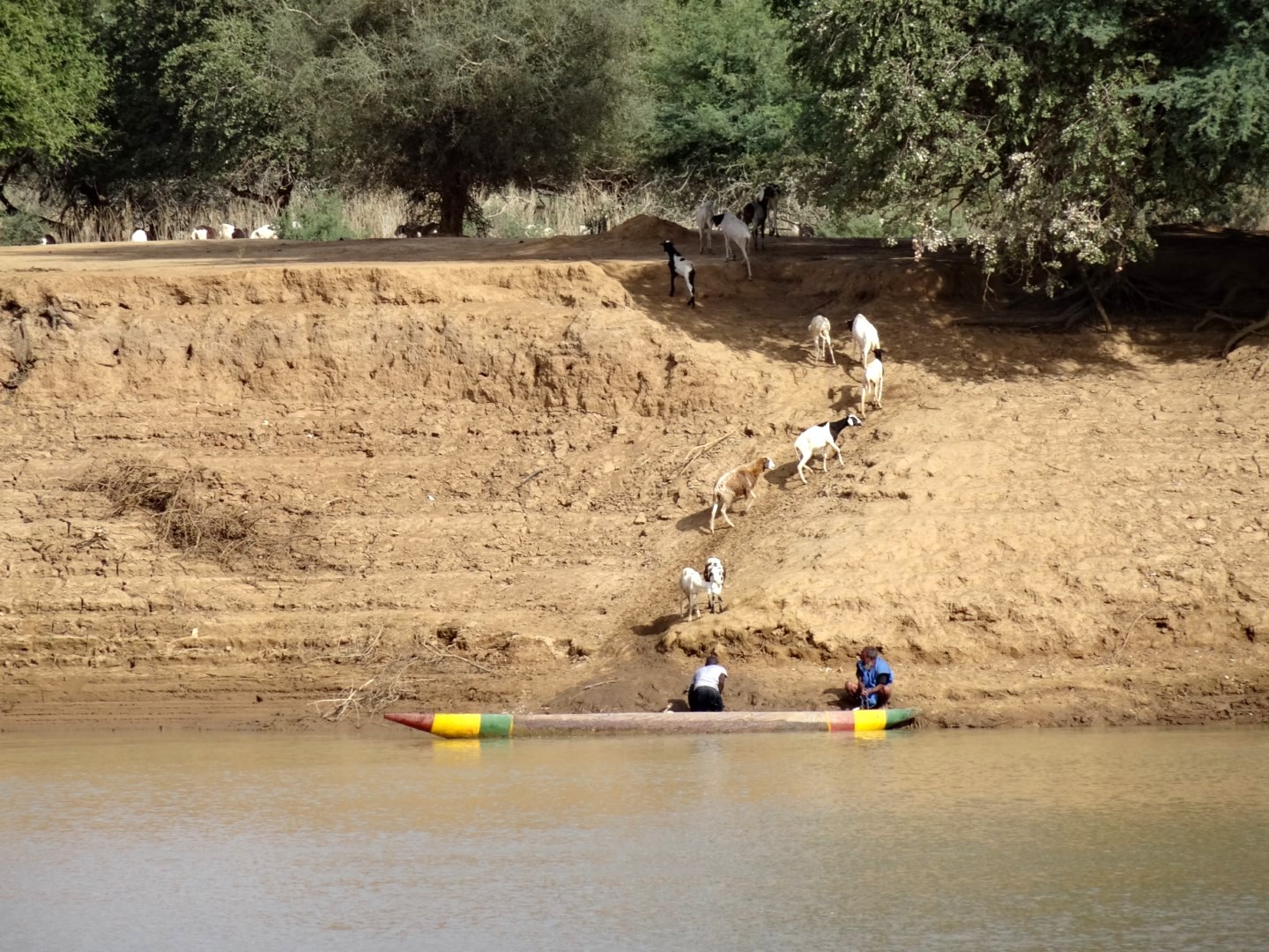 2013 12 le fleuve 22 