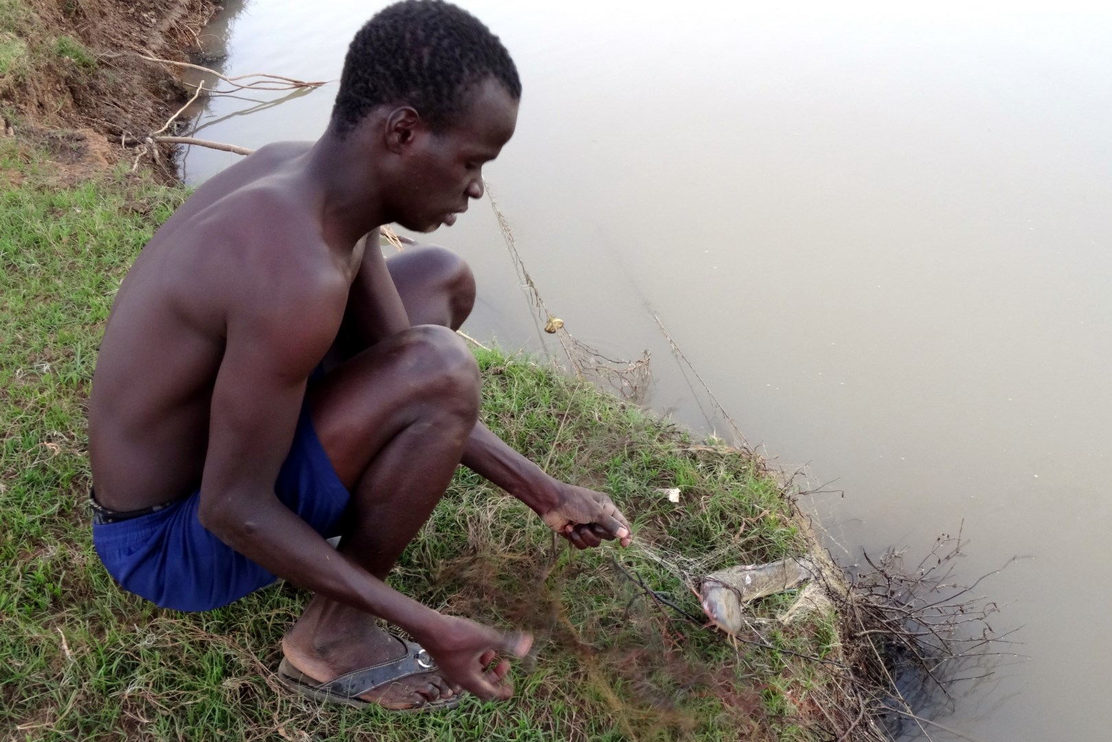 2013 12 maraichage mamadou 2 